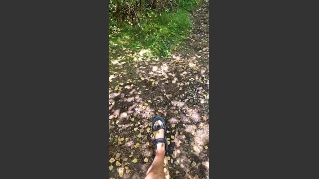 Bart_6 18-08-2025 Recorded Video handsome