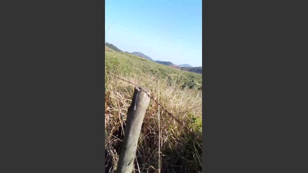 Daddy_capixaba 17-08-2025 Recorded Video bigass