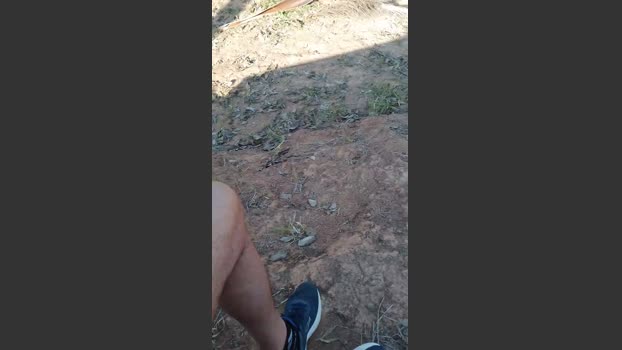 Daddy_capixaba 17-08-2025 Recorded Video legs