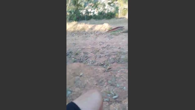Daddy_capixaba 17-08-2025 Recorded Video lush