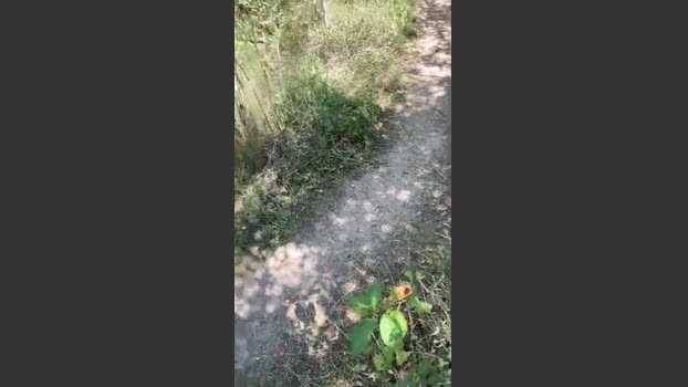 GeilerSack65 18-08-2025 Recorded Video sexybody