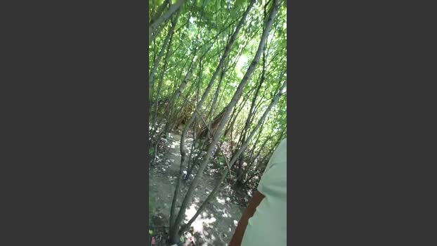 Socke72 18-08-2025 Recorded Video handsome