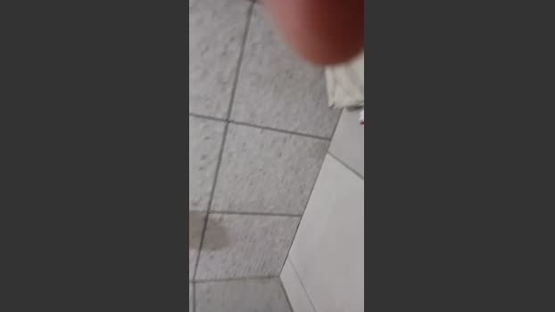 Solteiroc 18-08-2025 Recorded Video fuckher