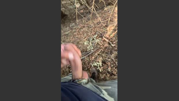 Zorro2024 18-08-2025 Recorded Video amateur