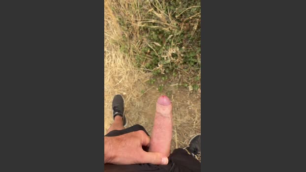 fonaro1 18-08-2025 Recorded Video analtoy