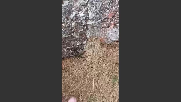 gutig_14 18-08-2025 Recorded Video show