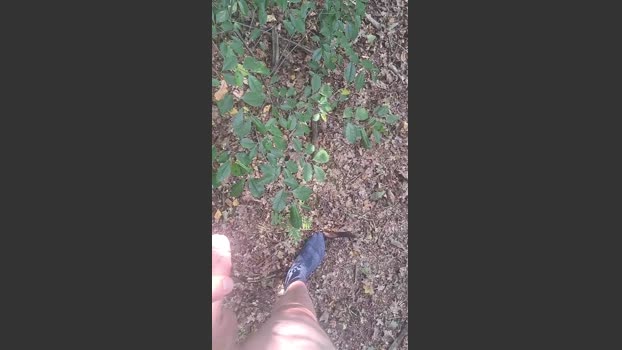 hotbody18y 18-08-2025 Recorded Video toy