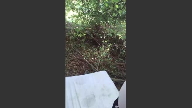 Socke72 19-08-2025 Recorded Video jackoff