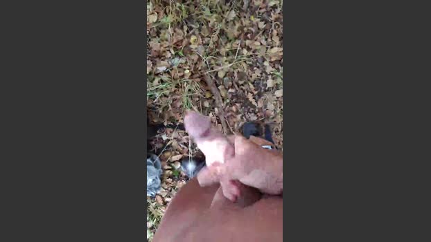 Plair4421 20-08-2025 Recorded Video ass