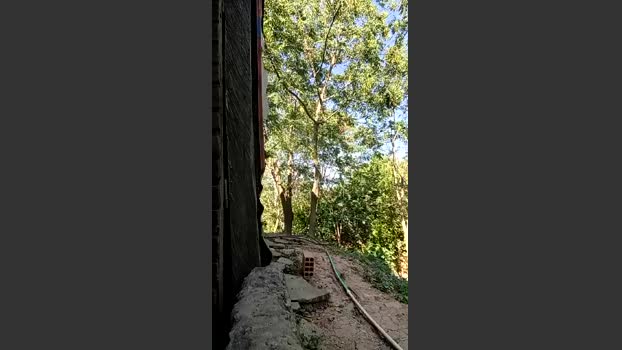 Richard_2 20-08-2025 Recorded Video ass