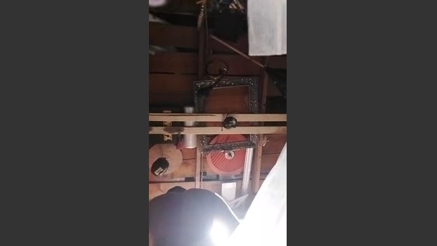 thompson3 20-08-2025 Recorded Video Show