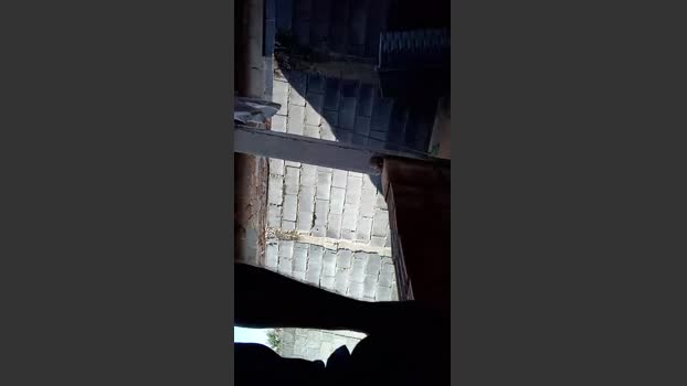Paixao_sexy1 21-08-2025 Recorded Video fuckass