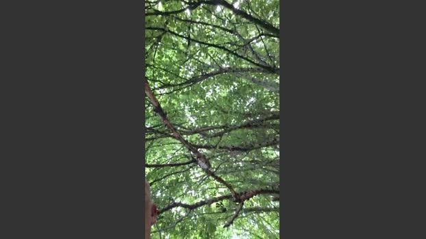 Socke72 20-08-2025 Recorded Video big