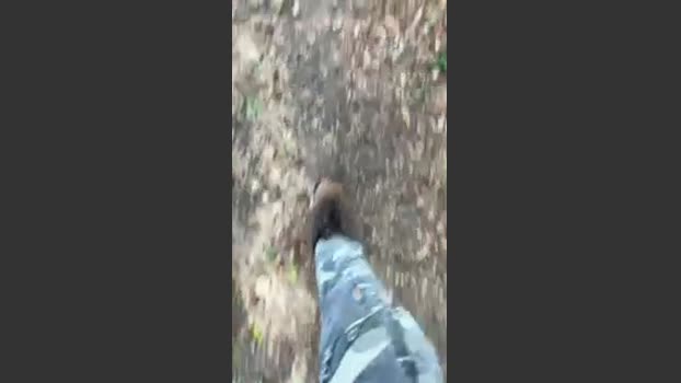 Zorro2024 21-08-2025 Recorded Video natural