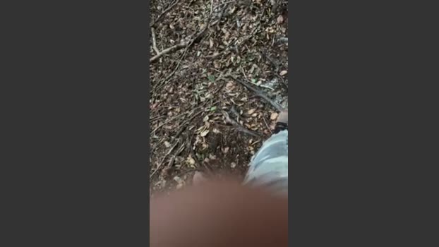 Zorro2024 21-08-2025 Recorded Video prettyface