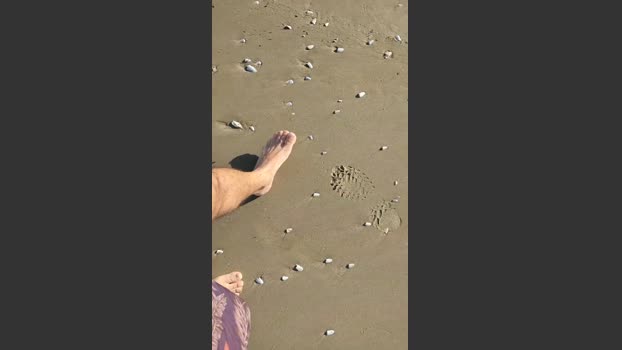 eduardosafado4 20-08-2025 Recorded Video analtoy
