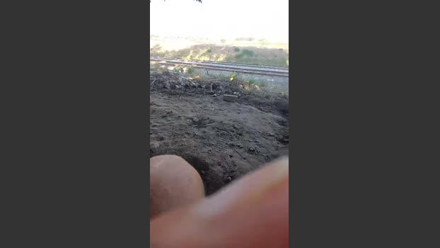 jao_magrao 21-08-2025 Recorded Video play