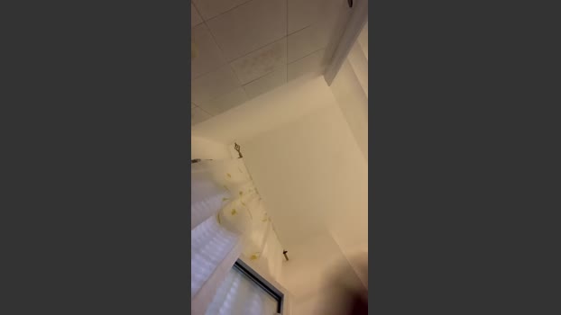 pepinoverd 22-08-2025 Recorded Video kissing