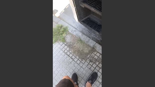 Truck_69 23-08-2025 Recorded Video bigdick
