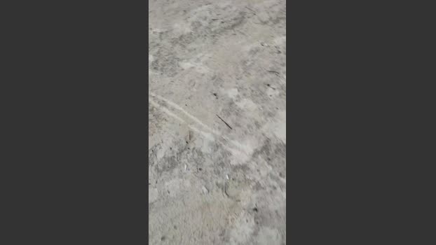 eduardosafado4 22-08-2025 Recorded Video bigload