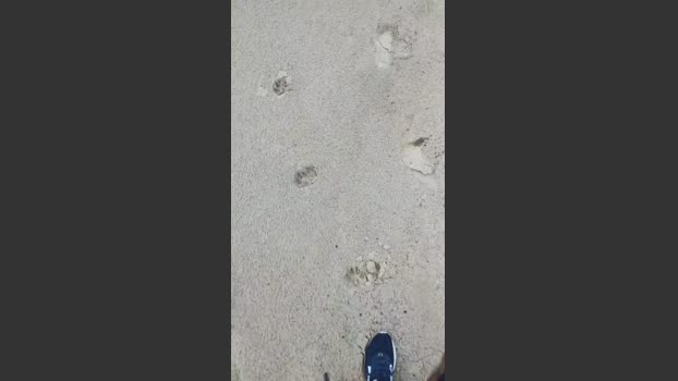 eduardosafado4 22-08-2025 Recorded Video amateur