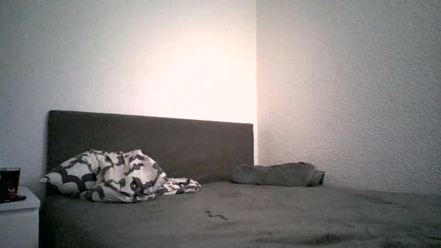 palpi2 23-08-2025 Recorded Video naked