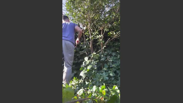Bullman_ar 23-08-2025 Recorded Video jerkoff
