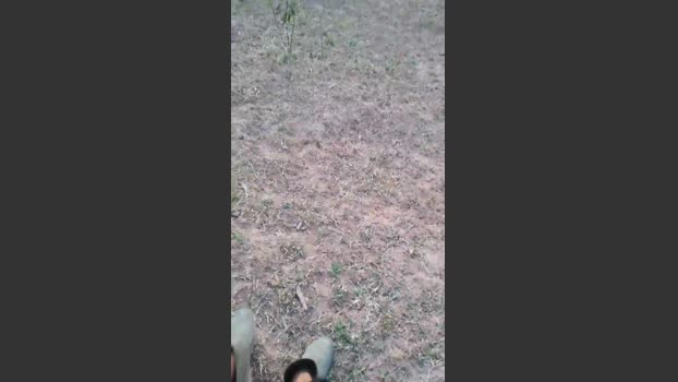 Daddy_capixaba 23-08-2025 Recorded Video big