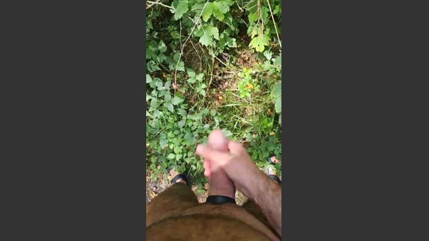 Bart_6 25-08-2025 Recorded Video Video