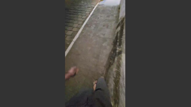 LeonTiff 25-08-2025 Recorded Video strip