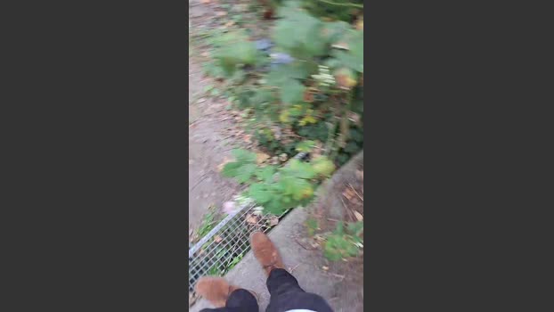 hotbody18y 25-08-2025 Recorded Video blowjob