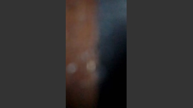 Chavbear 26-08-2025 Recorded Video toys