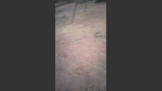 Daddy_capixaba 25-08-2025 Recorded Video wank