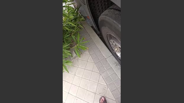 Truck_69 27-08-2025 Recorded Video bigballs