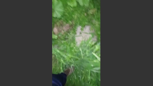Alejandrofasini 28-08-2025 Recorded Video Video