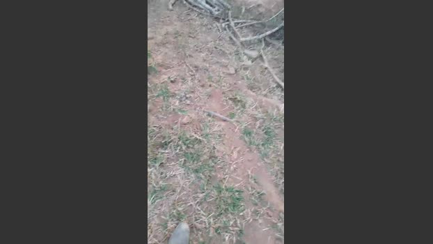 Daddy_capixaba 27-08-2025 Recorded Video jackoff
