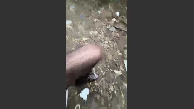 DaveBraun 28-08-2025 Recorded Video amateur