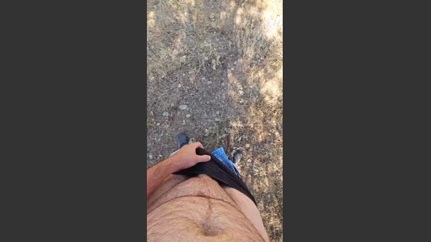 P_B_91 28-08-2025 Recorded Video play