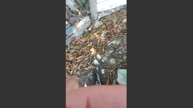 jao_magrao 28-08-2025 Recorded Video fuckme