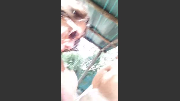 vinci862 28-08-2025 Recorded Video show