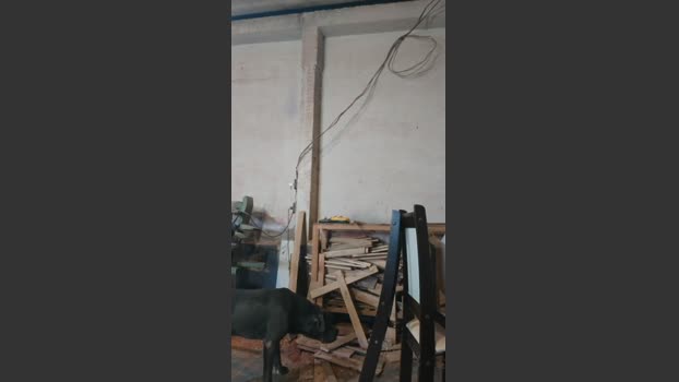 Arkem92 28-08-2025 Recorded Video bigass