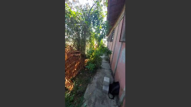 jao_magrao 28-08-2025 Recorded Video fuck