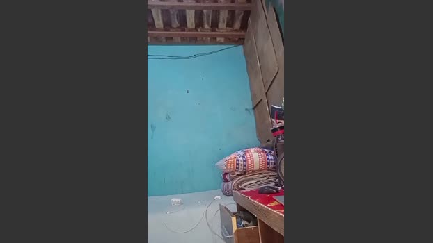 leosilvajf 29-08-2025 Recorded Video juicy