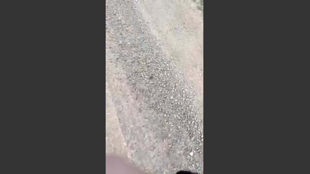 Beardedveteran 30-08-2025 Recorded Video skinny