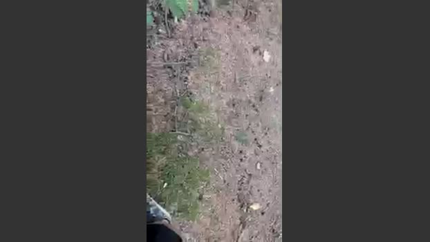 Beardedveteran 30-08-2025 Recorded Video juicy