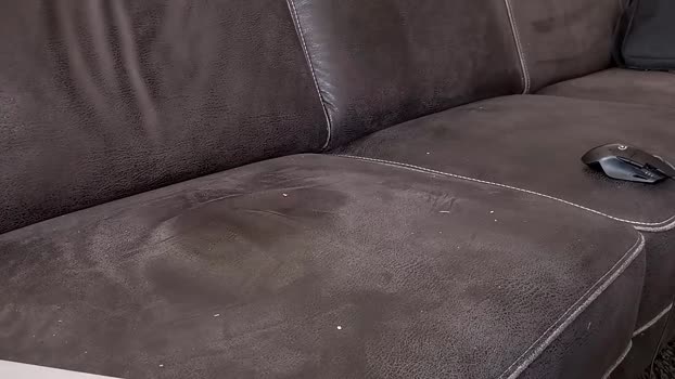 DutchWolf 30-08-2025 Recorded Video hardcock