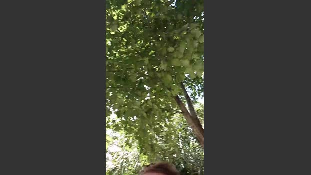 lLovePussy01 30-08-2025 Recorded Video Topless