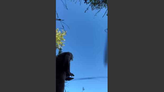 79erMicha 31-08-2025 Recorded Video beauty