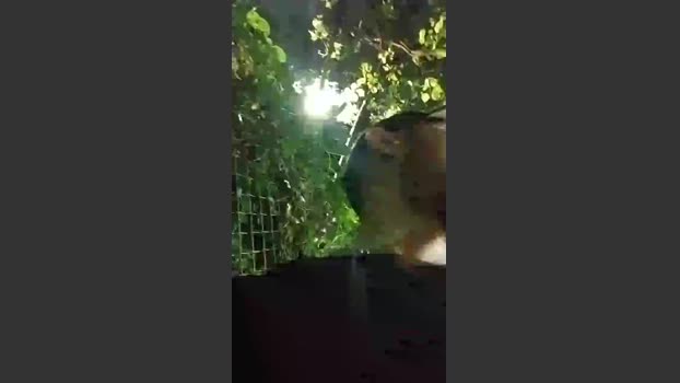 Sexylatinogay 31-08-2025 Recorded Video analtoy