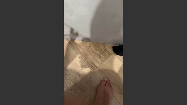Zorro2024 31-08-2025 Recorded Video ass